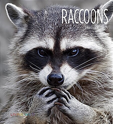 Raccoons (Paperback)