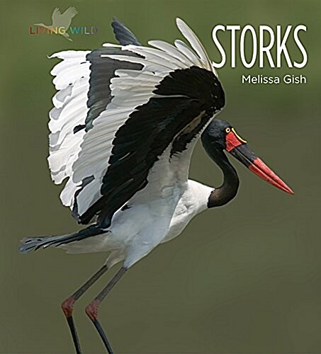 Storks (Paperback)