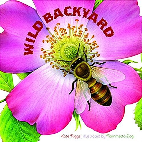 Wild Backyard (Board Books)