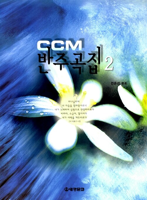 [중고] CCM 반주곡집 2