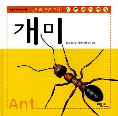 [중고] 개미