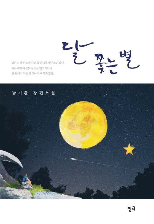 달 쫓는 별 : 남기환 장편소설