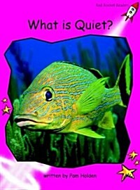 What Is Quiet? (Paperback)