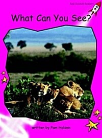 What Can You See? (Paperback)