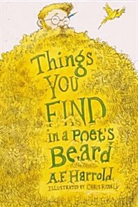 Things You Find in a Poets Beard (Paperback)