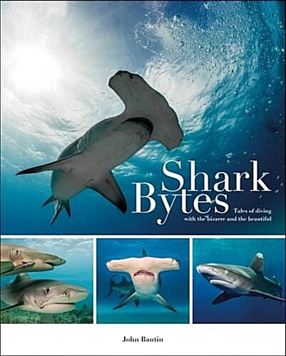 Shark Bytes : Tales of Diving with the Bizarre and the Beautiful (Paperback)