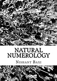 Natural Numerology (Paperback)