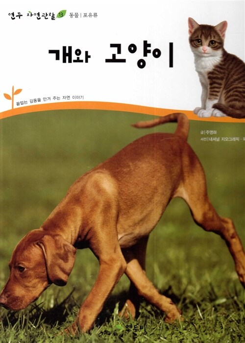 [중고] 개와 고양이