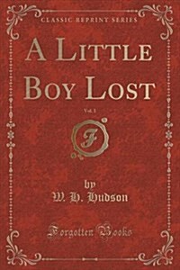 A Little Boy Lost, Vol. 1 (Classic Reprint) (Paperback)