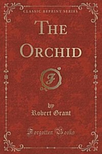 The Orchid (Classic Reprint) (Paperback)