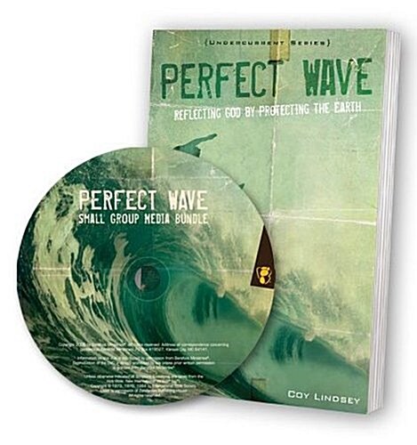 Perfect Wave: Small Group Media Bundle [With DVD] (Paperback)