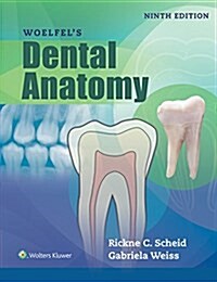 Woelfels Dental Anatomy (Paperback, 9)