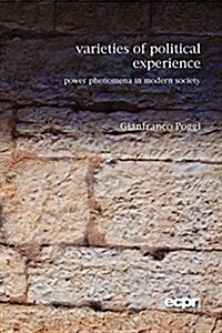 Varieties of Political Experience : Power Phenomena in Modern Society (Paperback)