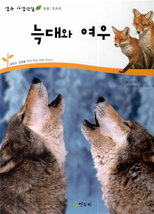 늑대와 여우