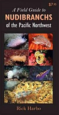A Field Guide to Nudibranchs of the Pacific Northwest (Paperback)