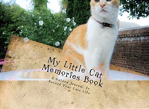 My Little Cat Memories Book (Paperback)