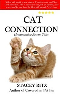 Cat Connection: Heartwarming Rescue Tales (Paperback)