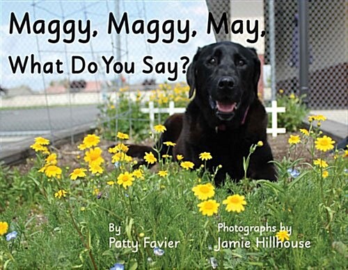 Maggy, Maggy, May, What Do You Say? (Hardcover)