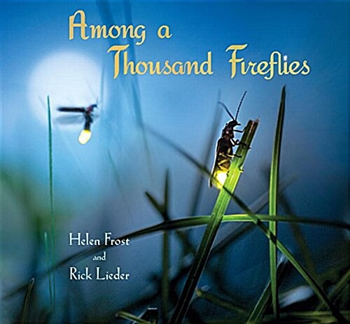 Among a Thousand Fireflies (Hardcover)