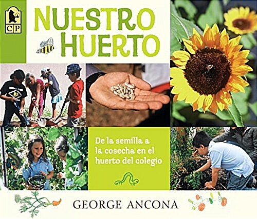 Nuestro Huerto: de la Semilla a la Cosecha En El Huerto del Colegio (Paperback)