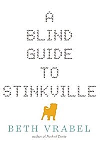 A Blind Guide to Stinkville (Paperback)