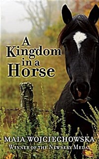 A Kingdom in a Horse (Paperback)