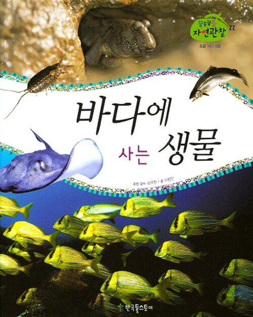 바다에 사는 생물