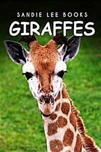 Giraffes - Sandie Lee Books (Paperback)