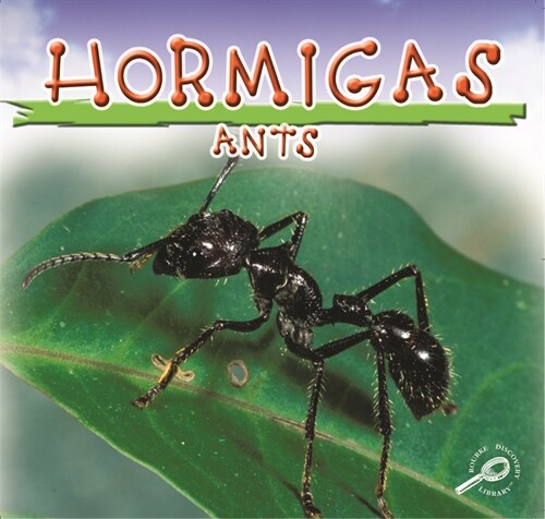 Hormigas: Ants (Paperback)