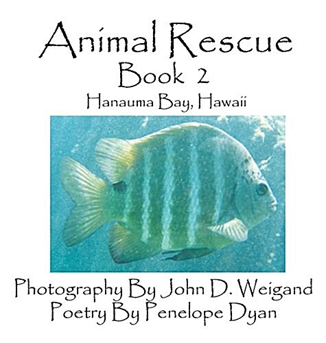 Animal Rescue, Book 2, Hanauma Bay, Hawaii (Hardcover, Picture Book)