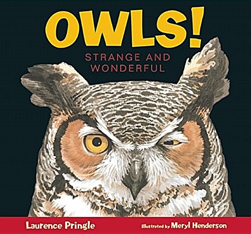 Owls!: Strange and Wonderful (Hardcover)