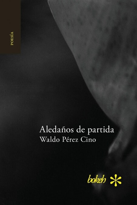 Aleda?s de partida (Paperback)