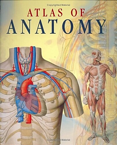 [중고] Atlas of Anatomy (Paperback)