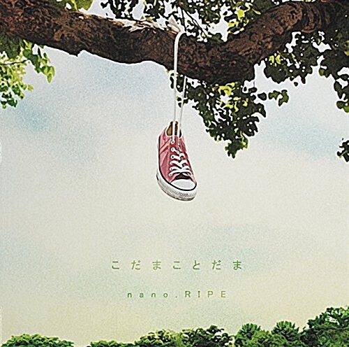 こだまことだま (DVD付) (CD)