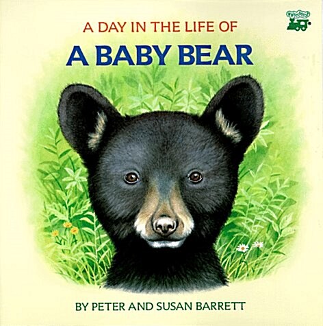 A Day in the Life of a Baby Bear: The Cubs First Swim (Library Binding, 0)