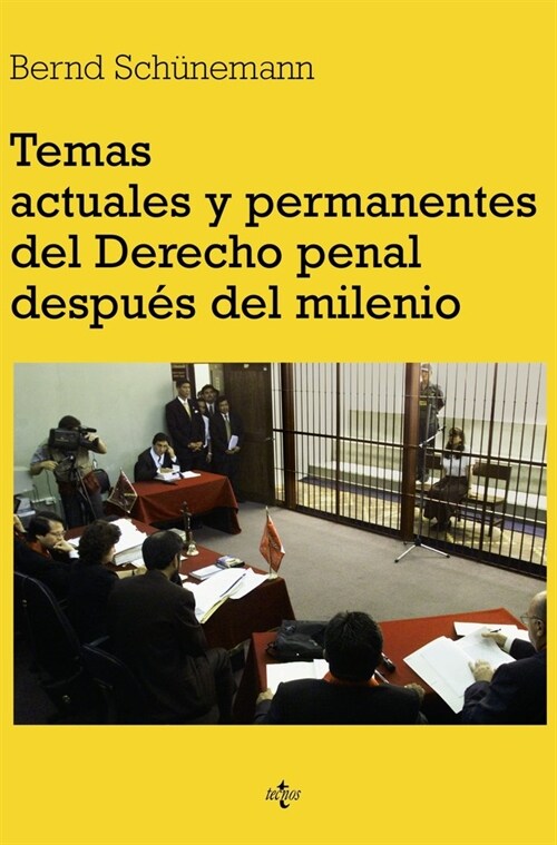 Temas actuales y permanentes del derecho penal despues del milenio / Current and Ongoing Issues of Criminal Law after the Millennium (Paperback)