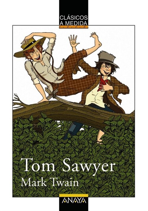 Tom Sawyer (Paperback)