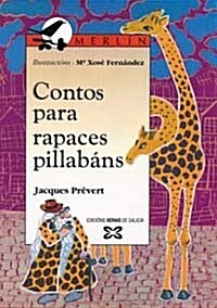 Contos Para Rapaces Pillabans (Paperback)