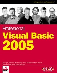 Visual Basic 2005 (Paperback, Translation)