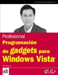 Programacion de gadgets para Windows Vista/ Gadgets Programming for Windows Vista (Paperback)