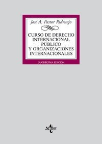 Curso de derecho internacional publico y organizaciones internacionales/ Course of public international law and international organizations (Paperback, 2nd)