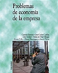Problemas de economia de la empresa/ Economic Business Problems (Paperback)