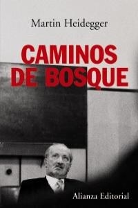 Caminos de bosque / Forest Roads (Paperback)