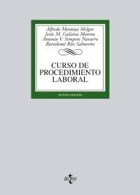Curso de procedimiento laboral / Course of work procedure (Paperback)