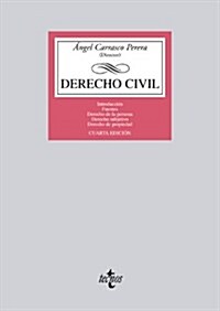 Derecho Civil / Civil law (Paperback)