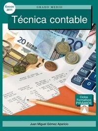 T?nica contable / Accounting techniques (Paperback)