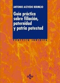 Gu? pr?tica sobre filiaci?, paternidad y patria potestad / Practical Guide to filiation, paternity and parental rights (Paperback)