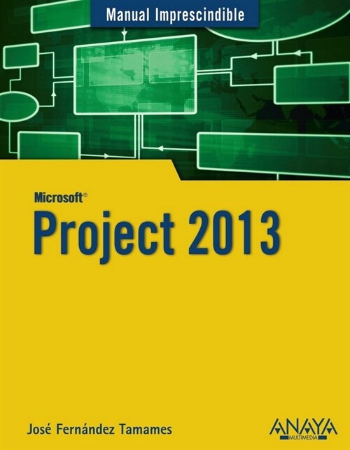 Project 2013 (Paperback)