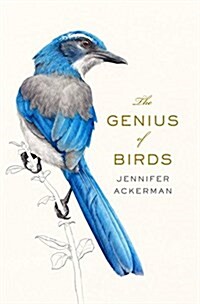 The Genius of Birds (Hardcover)