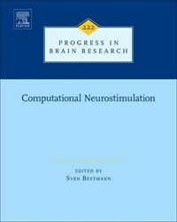 Computational neurostimulation